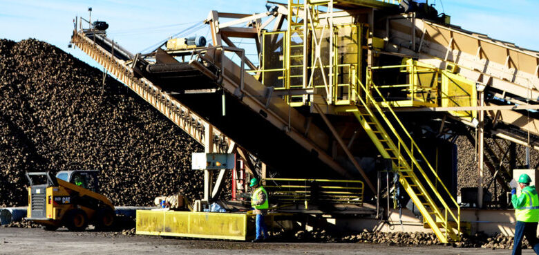 Image of equipment at a sugar beet harvest facility