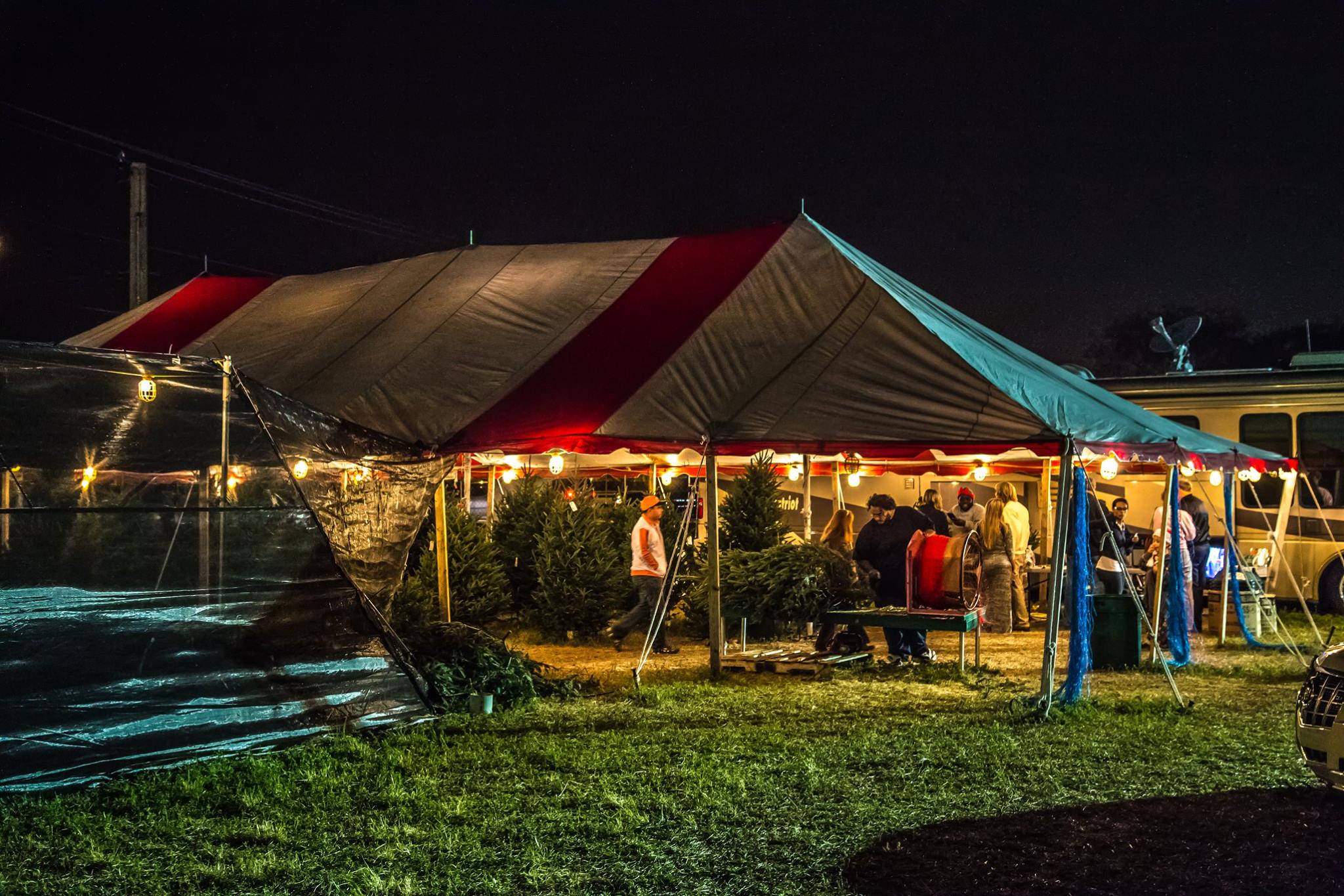 Featured image for “In Episode 072, Kathy Chefas describes an opportunity to sell Christmas trees in south Florida”