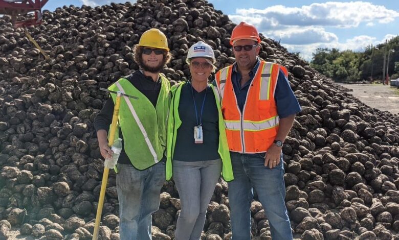 Photo of Workampers taking part in the Michigan beet harvest with Express Employment Professionals