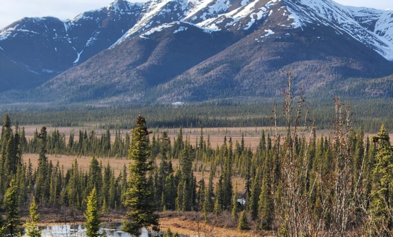 A photo of the scenic view from Wrangell Mountain Wilderness Lodge.