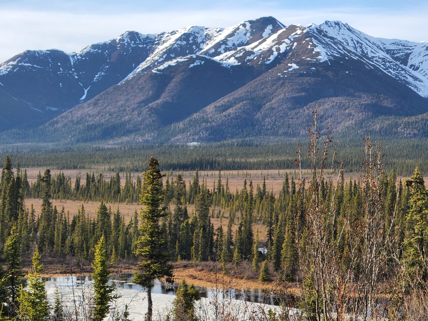 In Episode 245, learn about Workamping in remote Alaska at Wrangell Lodge The Workamper Show