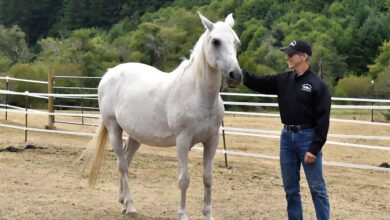 Larry Boxman, founder of On Golden Rescue in Oregon.