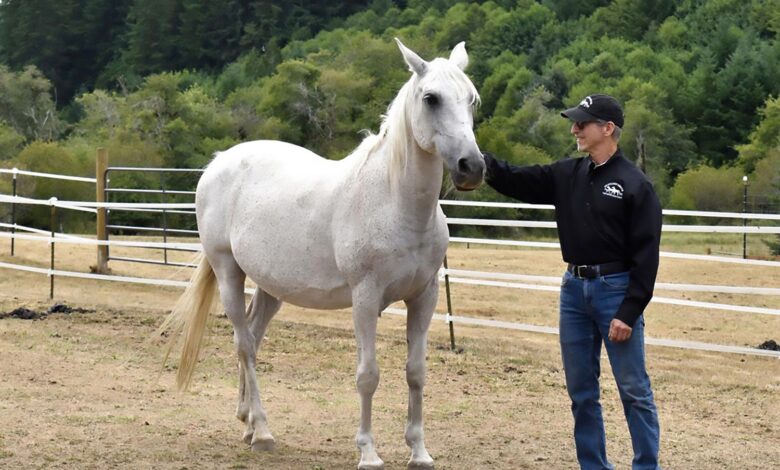 Larry Boxman, founder of On Golden Rescue in Oregon.